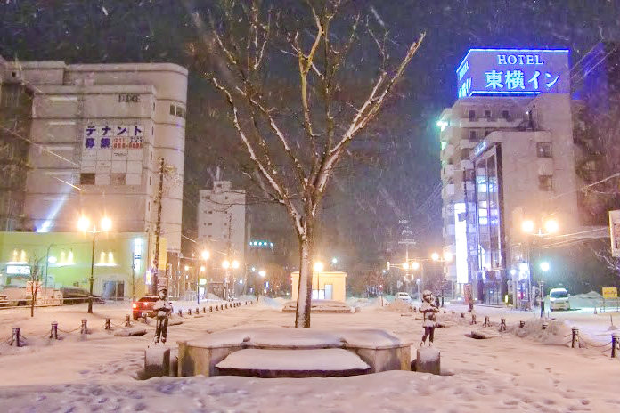 雪の降る函館市街