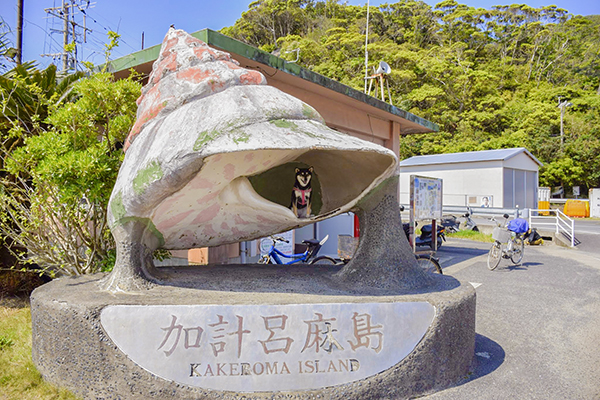 瀬相港の巻貝にて