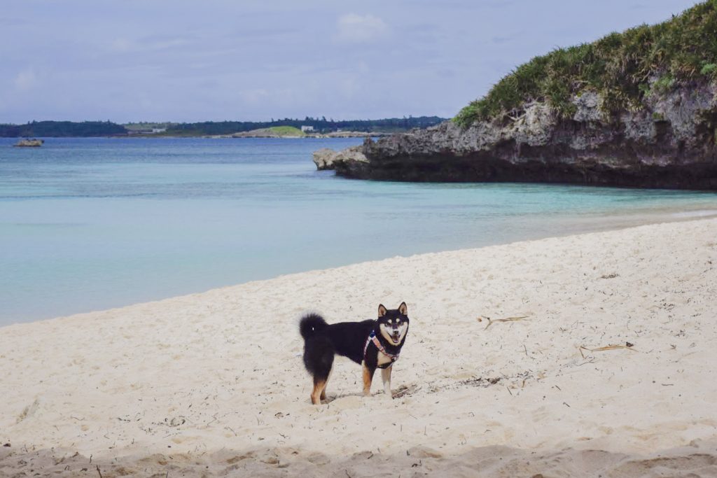 砂浜は気持ちいいね♪